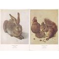 Albricht Durer The Hare Squirrels 2x Medici Old...