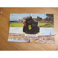 1970s Postcard - Good Luck / Lucky Black Cat @ ...
