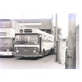 Black & White Photograph of Southampton Corpora...