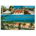 Postcard Tunisia Jasmine Hammamet multiviews be...