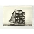 308 Barque FRED Postcard by National Maritime M...