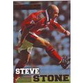 Merlin Premier Gold English Premier League 1996...