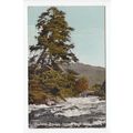 Douchart Bridge from Arey St Killin Postcard Pe...
