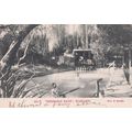 Wairakei Mermaids Bath Invalid Swimmers Rudyard...