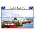D028119 Mallaig. Whiteholme