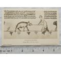 vintage postcard Pigsticking - Mediaeval Sports...