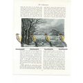 Buckingham House (future Palace), Middx, Book I...