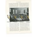 Royal Cock-Pit, Bluck, Book Illustration (Print...