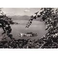 Lake Maggiore Italy Postcard used VGC