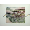 Iris Garden, Japan, Menpes, Book Illustration (...
