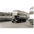 Black & White Photograph of Exeter Corporation ...