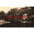 Llandrindod Wells, Lovers Leap, Wales, Postcard...