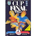 EVERTON v MANCHESTER UNITED FA CUP FINAL 1985