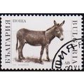 Bulgaria. 1991 1L S.G.3735 Used