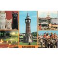 Colourmaster Postcard Skegness Amusements Old C...