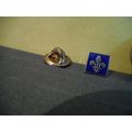 Quebec Canada Blue,Small Collector Lapel Pin,En...