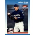 2002 Fleer Platinum Baseball Adam Eaton #196