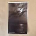 Silvery Morn Postcard judges 276 real photo GC ...