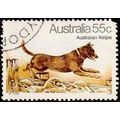 Australia 1980 Dogs Kelpie 55c Used Stamp .