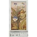 Vintage: Dutch card Jac. P. Thijsse, Lente No. ...