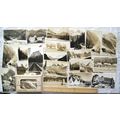 22 vintage postcards Canadian Rockies