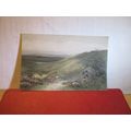 A RURAL SCENE unused antique postcard, C.W.Faul...
