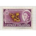 CAYMAN ISLANDS 1959 QE2 ORCHID FLOWER USED SG16...