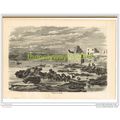 RUINS OF TYRE, ISRAEL, BOOK ILLUSTRATION (PRINT...