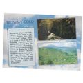 BETWS-Y-COED, multi-view unused postcard by J A...