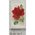 1912 Wills Roses No. 19 Richmond