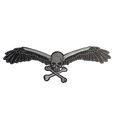 Iron On Patch Winged Skull Embroidered Silver S...