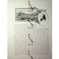 Corte & Paoli, Corsica, France, Book Illustrati...