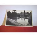"THE OASIS" GARDENS, QUEENSLAND unused postcard...