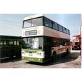 Colour Photograph of Maidstone & District Motor...