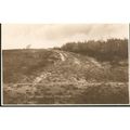 Vintage GB Postcard - Aspley Heath, Woburn Sand...