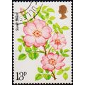 Great Britain. 1976 13p S.G.1009 Used