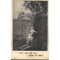 Antique British PC 1906 - Just Like Ivy I Cling...