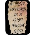 2027 Inspirational Refrigerator Magnet True Fri...