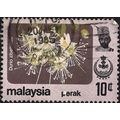 MALAYSIA, PERAK, FLOWERS, Durian Flower, brown ...