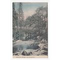 Grenofen Bridge near Tavistock Postcard Devon