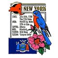 New York The Empire State Montage Fridge Magnet