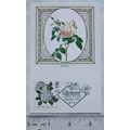 1991 first day cover silk roses - Rosa Mme Alfr...