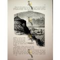Bergen Bay, Norway, Book Illustration (Print), ...