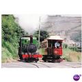 Limited Edition NG Railway Postcard IoM Loco Su...