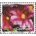 GUERNSEY, FLOWER, Clematis Liberation, pink 200...
