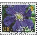 GUERNSEY, FLOWER, Wisley, violet 2004, UK