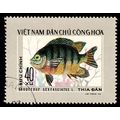 Vietnam 1976 Fish 40xu Used Stamp