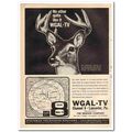 WGAL-TV 1973 Steinman Television Stations white...