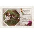 Dog Birthday Greetings Postcard 1928 used VGC