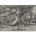 A BURNHAM GIANT 1885 Anthony Warton Henley VICT...